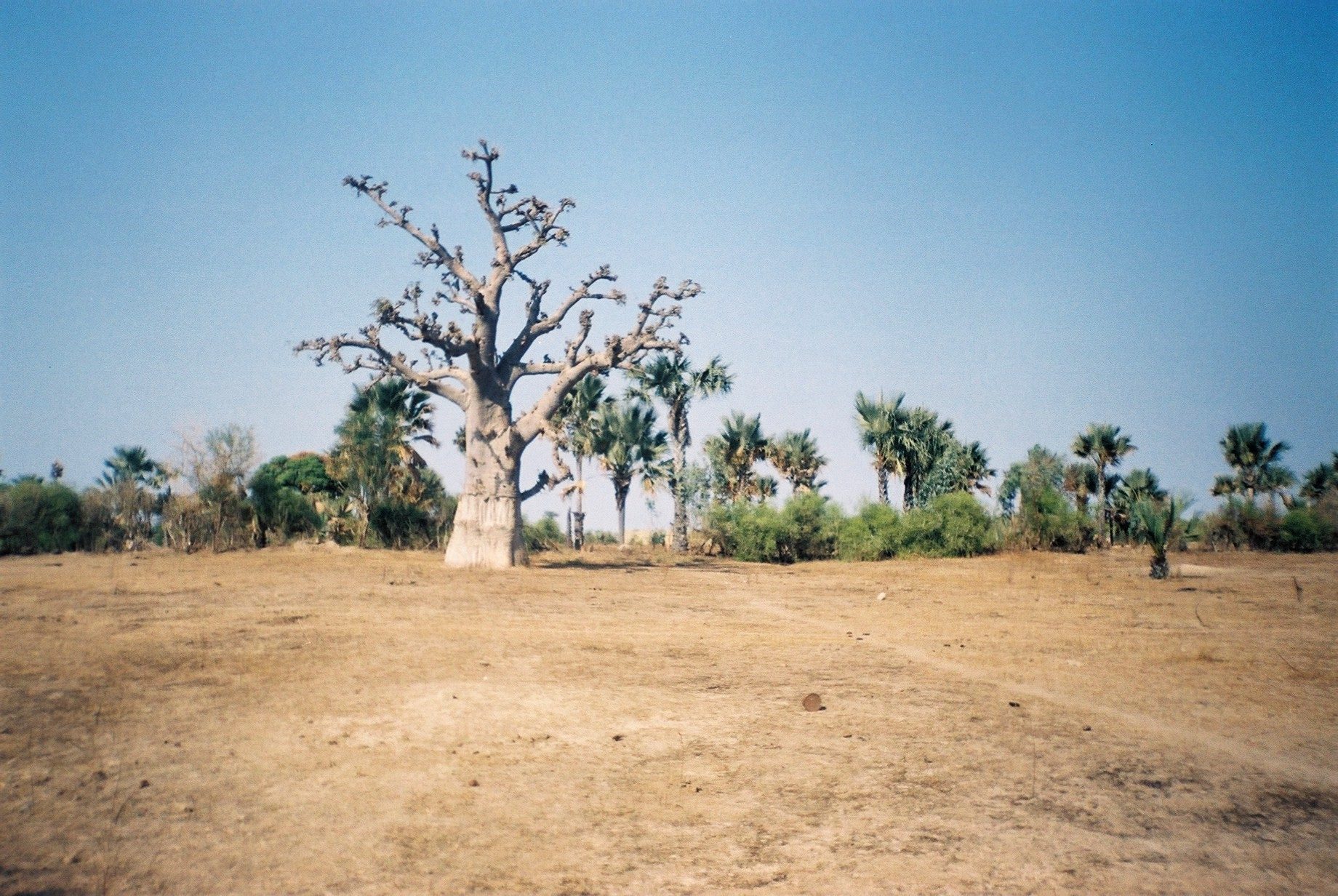 Aux abords de Thiès
